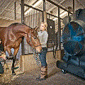 AG_HR3600_HorseStable21